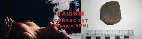 сатива Инта