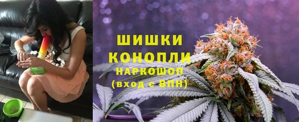 сатива Инта
