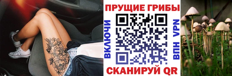 Купить где  Асино  Галлюциногенные грибы ЛСД 